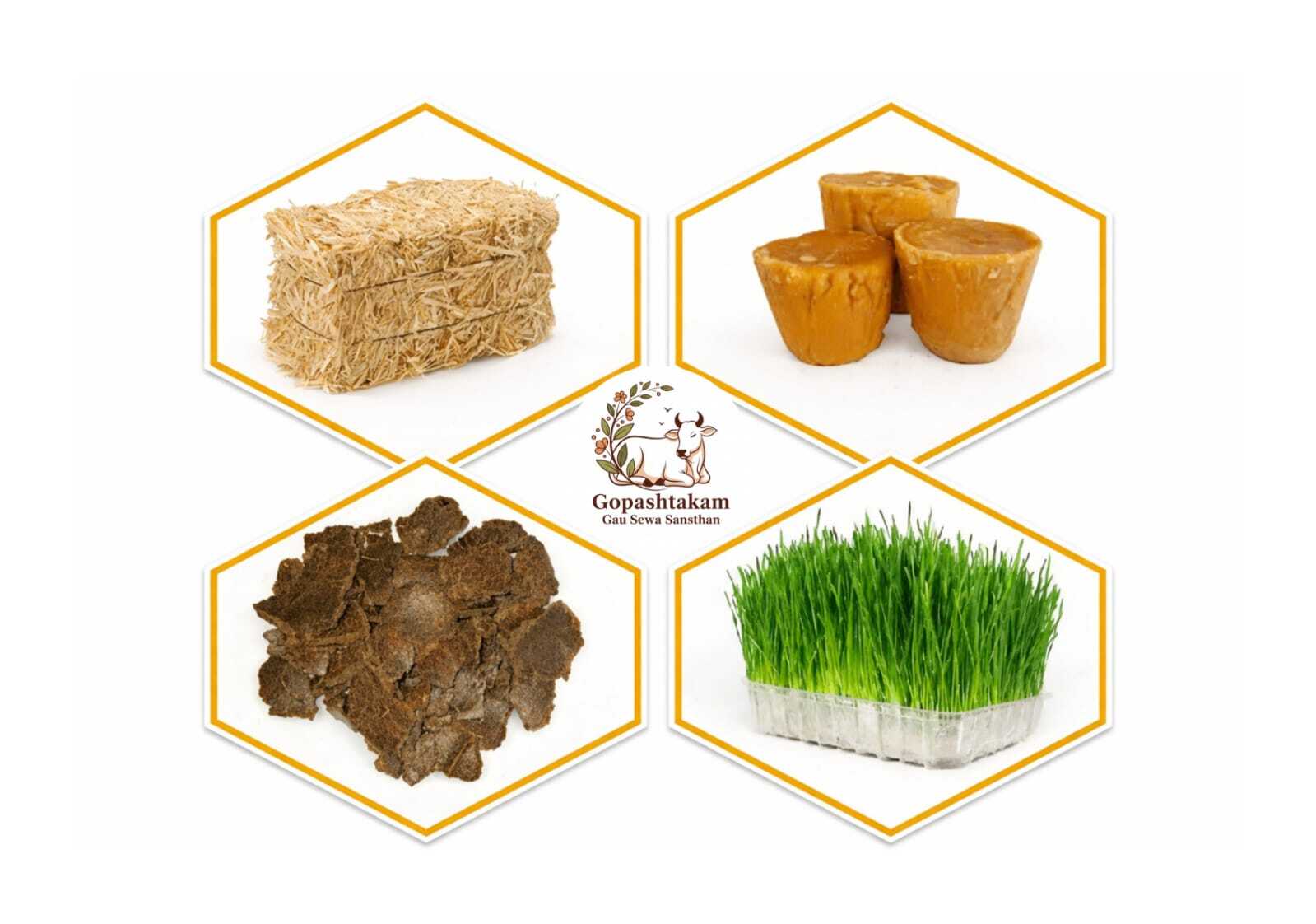 A mission to protect and heal every voiceless being